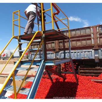 pâte de tomate meilleur prix avec emballage de tambour/bacs en bois/emballage en étain